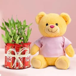 Exquisite Propose Day Combo of Teddy with Chocolate n Lucky Bamboo 1