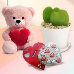 Attractive Teddy Day Hearty Gift Trio 1