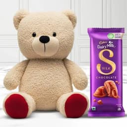 Outstanding Combo of Soft Teddy with Cadbury Silk Bar 1