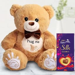 Exciting Teddy with Chocolate for Kids 1