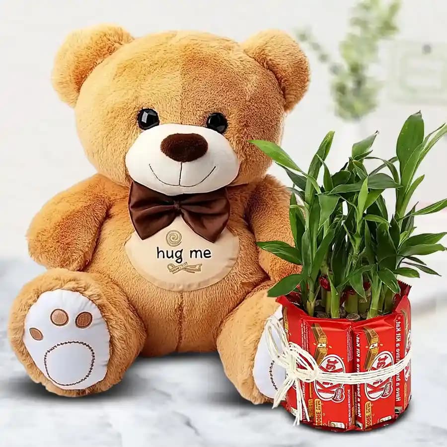 Wonderful Teddy with Chocolate n Lucky Bamboo Plant