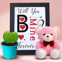 Charming Heartfelt Memory Frame with Teddy and Hoya Plant 1
