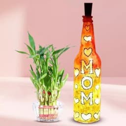 2 Tier Lucky Bamboo Plant with Handcrafted LED Lighting Bottle Lamp for Mom 1
