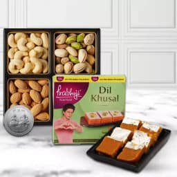 Tasty Haldiram Dilkhusal n Salted Dry Fruits Free Coin 1