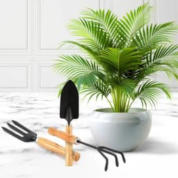 Stunning Xmas Gift of Areca Plant with Gardening Tool Kit 1