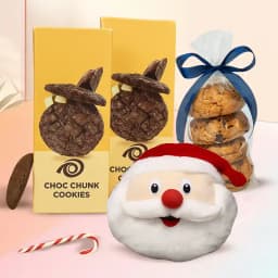 Stunning Xmas Cookie Delight with Santa Cushion 1