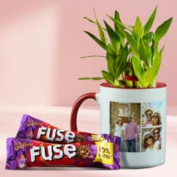 Charming Two Layer Lucky Bamboo Plant in Personalized Mug with Cadbury Fuse 1