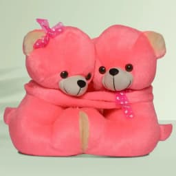Charming Double Headed Teddy Bear 1