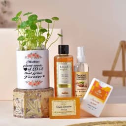 Mom's Delightful Treasures Hamper 1