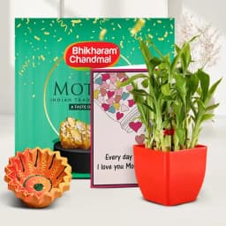 Bamboo Plant And Motipak Extravaganza 1