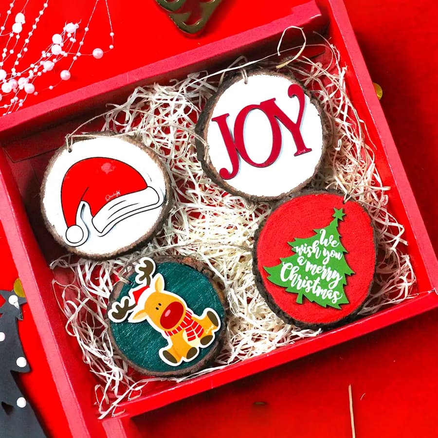 Quirky Sliced Logs Gift Set