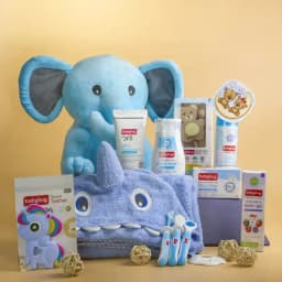 Ultimate Newborn Care Bundle 1