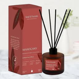 Elegant Mahogany Reed Diffuser Collection 1