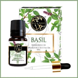 Essential Elegance Basil Essential Oil 1