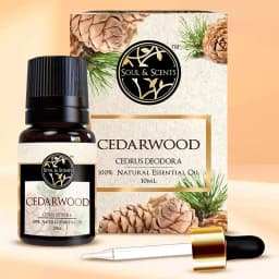 Wonderful Cedar Wood Essential Oil 1