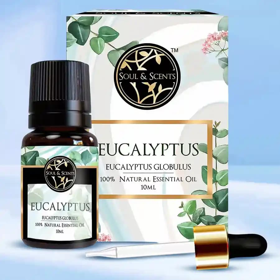 Cheerful Gift of Eucalyptus Essential Oil