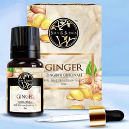 Aromatic Ginger Essential Oil 1