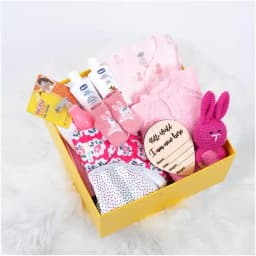Marvellous Winter Hamper for New Born Baby Girl 1