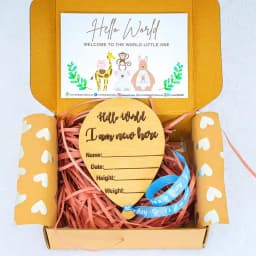 Amazing Hello World Plaque for Newborn 1