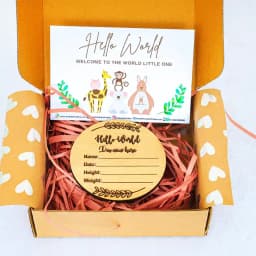 Charming Hello World Plaque for Newborn Baby Girl 1