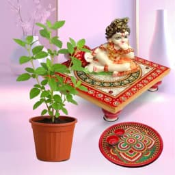Traditional Puja Gift with Holy Tulsi Plant for Devoted Mom 1