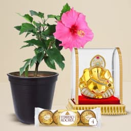 Decorative Hibiscus Plant with Ganesh Idol N Chocolate 1