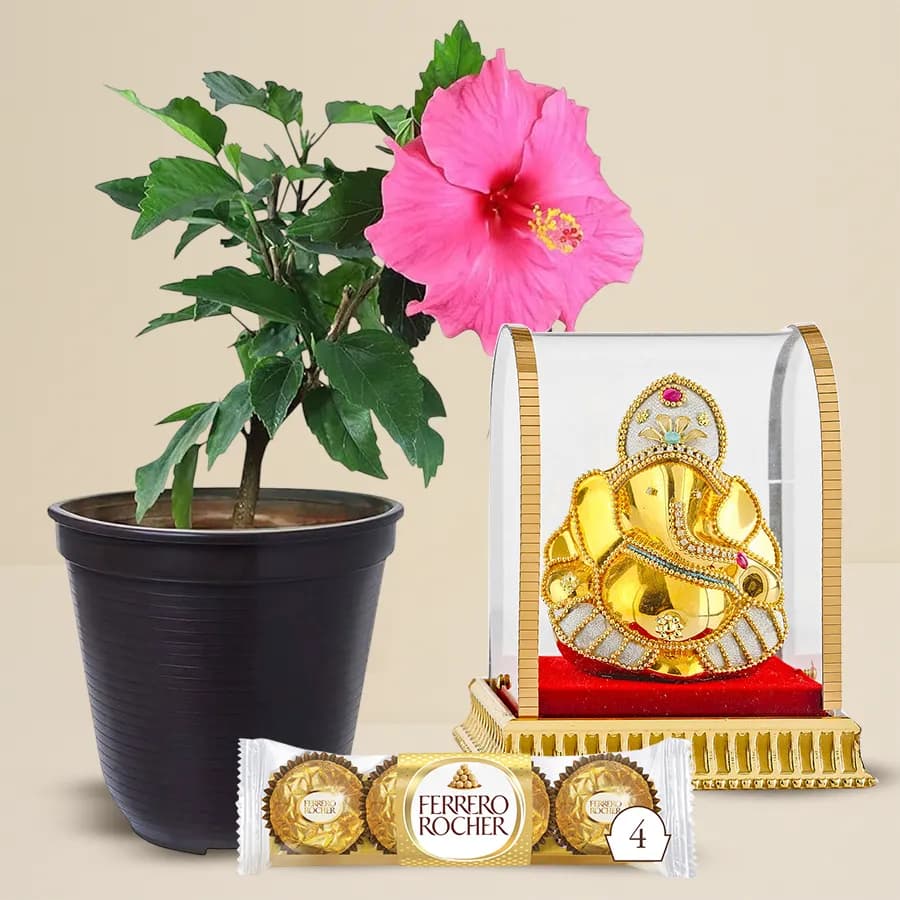 Decorative Hibiscus Plant with Ganesh Idol N Chocolate