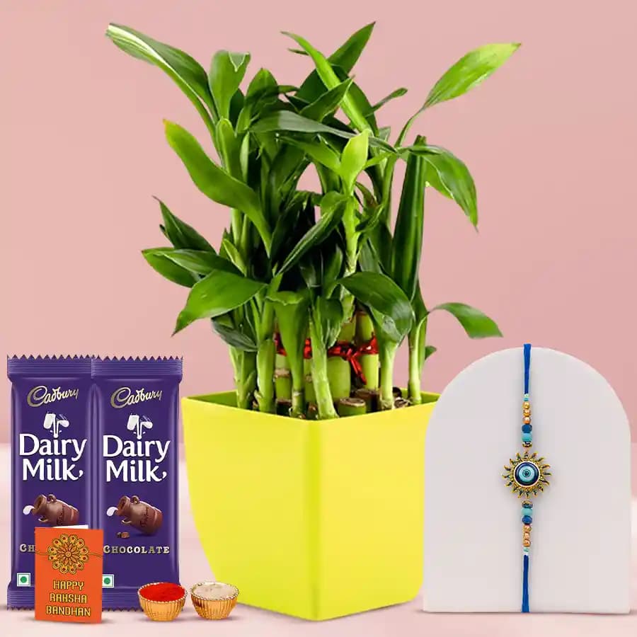Aromatic 2 Tier Bamboo Plant with Evils Eye Rakhi