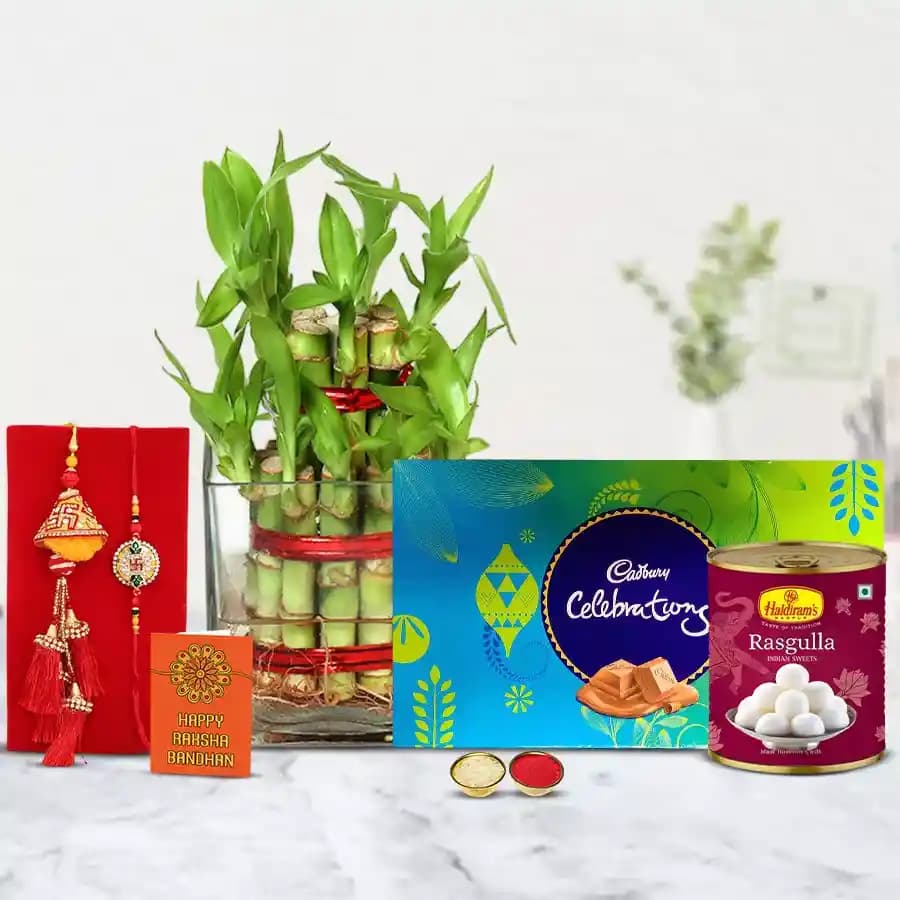 Graceful 2 Tier Bamboo Plant N Bhaiya Bhabhi Rakhi Set