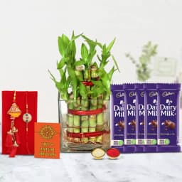 Pious Lumba Rakhi N 2 Tier Lucky Bamboo Plant 1