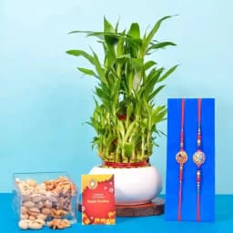 Dual Kundan Rakhis N Lucky Plant Combo 1