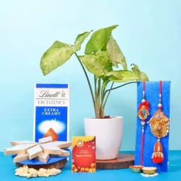 Syngonium n Zardosi Couple Rakhi Combo 1