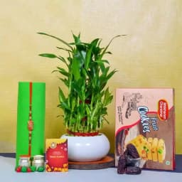 Kundan Rakhi with Lucky Bamboo N Cookies 1