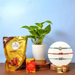 Kids Rakhi with Ferrero n Money Plant 1