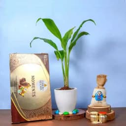 Kids Modi Rakhi Ferrero n Peace Lily 1