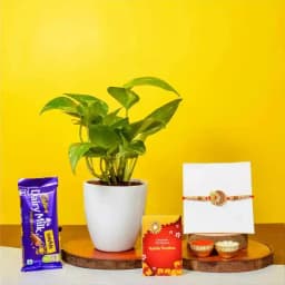 Ganesha Rakhi N Cadbury with Money Plant 1