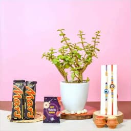 Evil Rakhi Jade Plant Mars Choco Combo 1