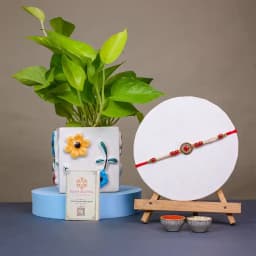 Chic Kundan Rakhi N Lively Pothos Gift 1