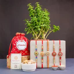 Vibrant Rakhi N Wellness Gift Combo 1
