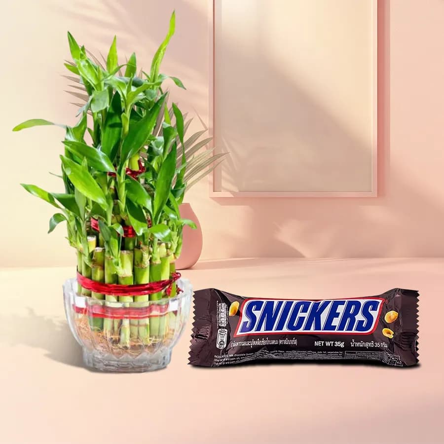 Choco Bamboo Harmony Gift Set