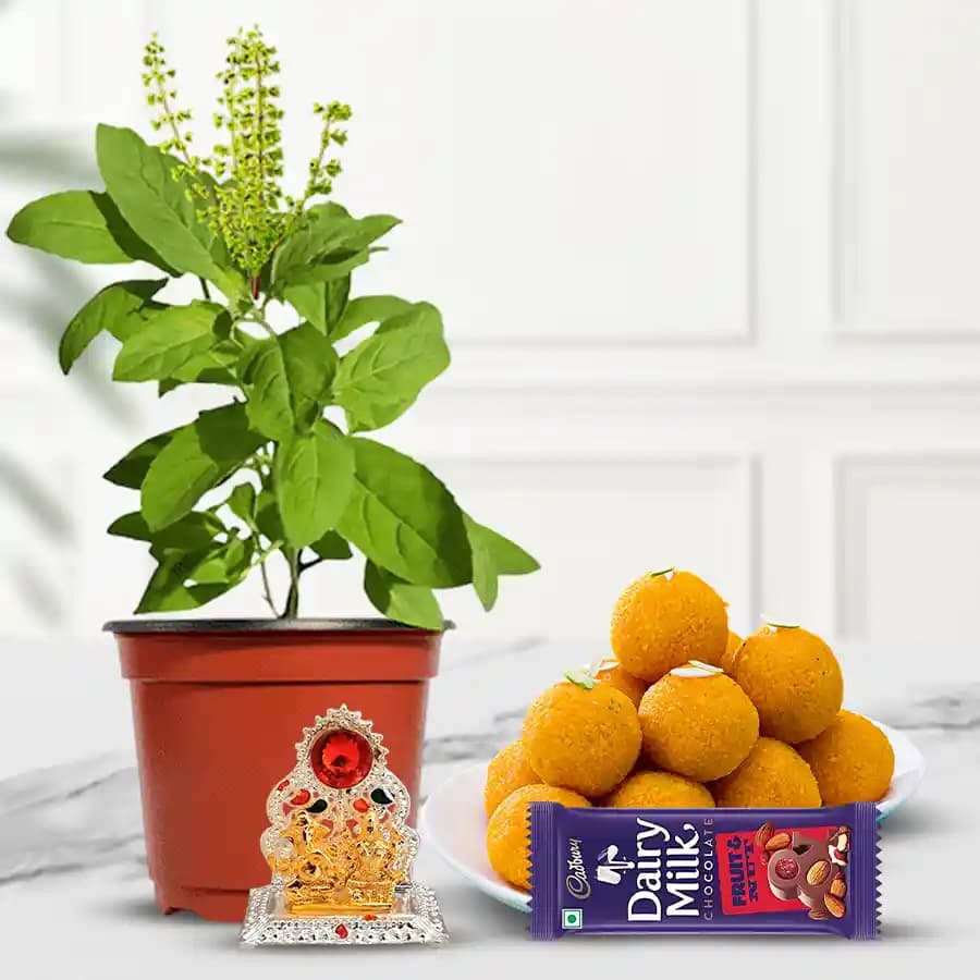 Blessed Tulsi & Celebratory Treats Bundle