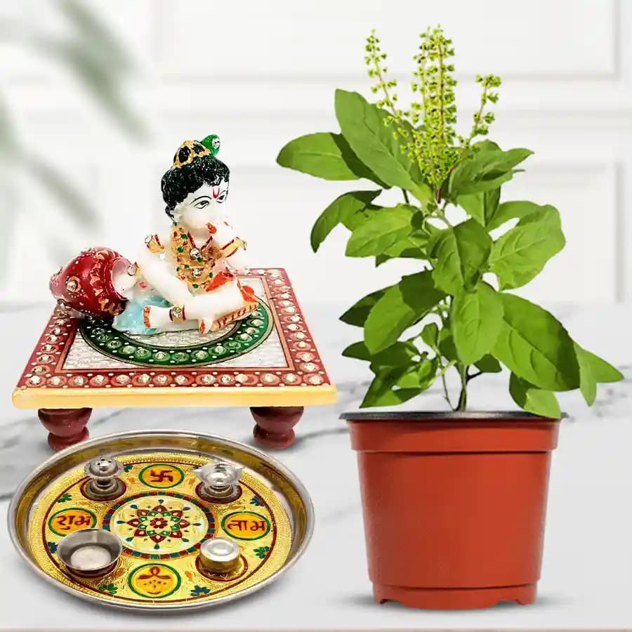 Sacred Tulsi Blessings Gift Set
