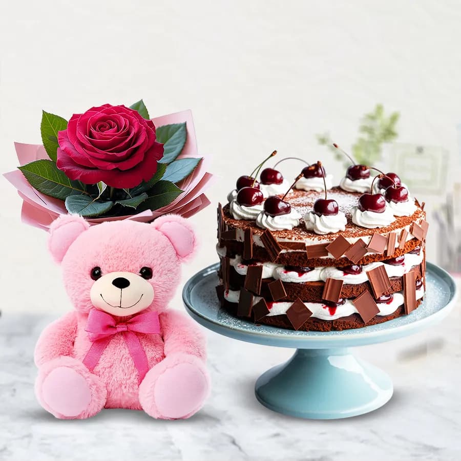 Single Red Rose with Teddy N Black Forest Cake