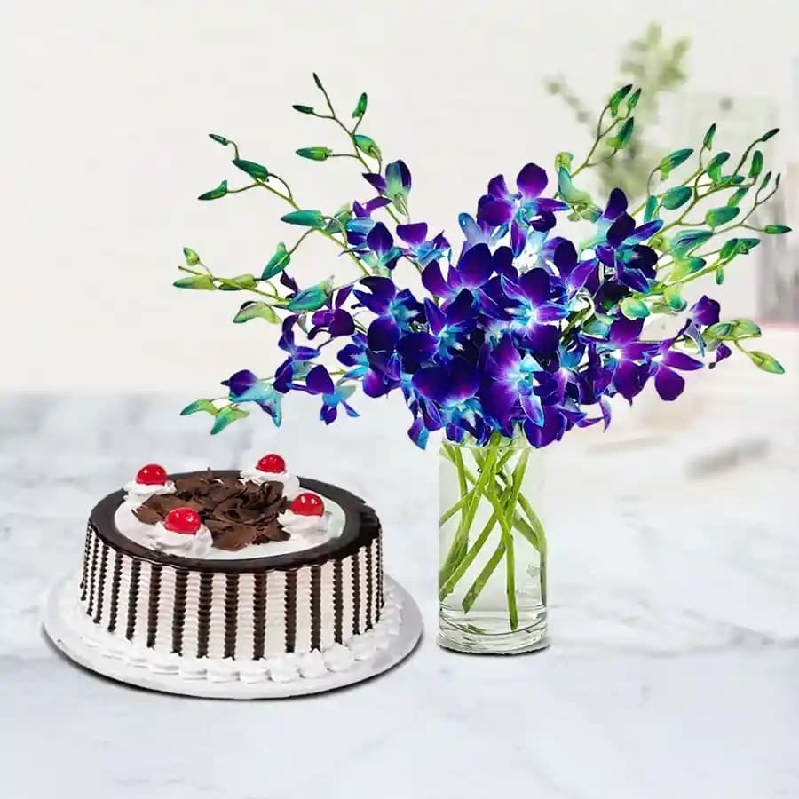 Special Combo of Blue Orchids n Black Forest Cake