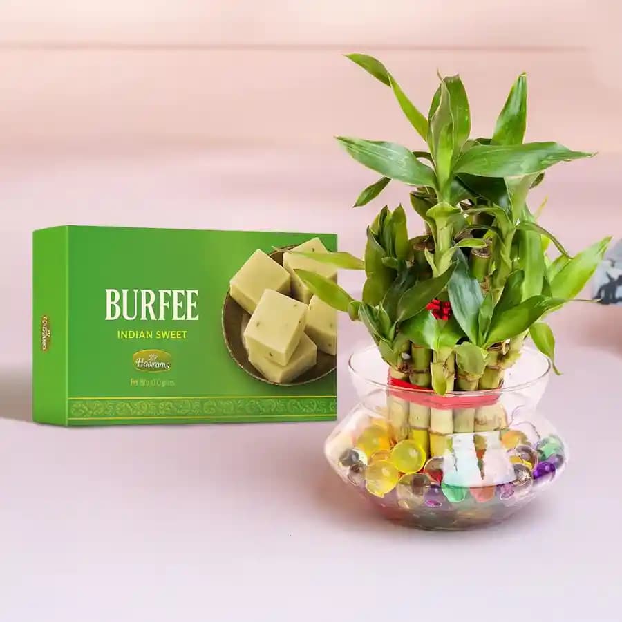Malai Barfi with 3 Tier Lucky Bamboo Plant
