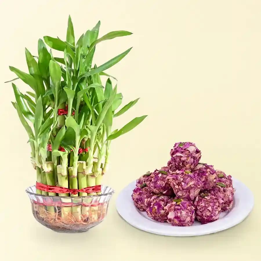 Blissful Bamboo & Almond Delight