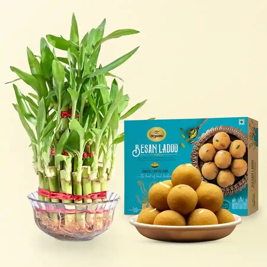 Prosperity Bundle: Sweet Laddus & Lucky Bamboo