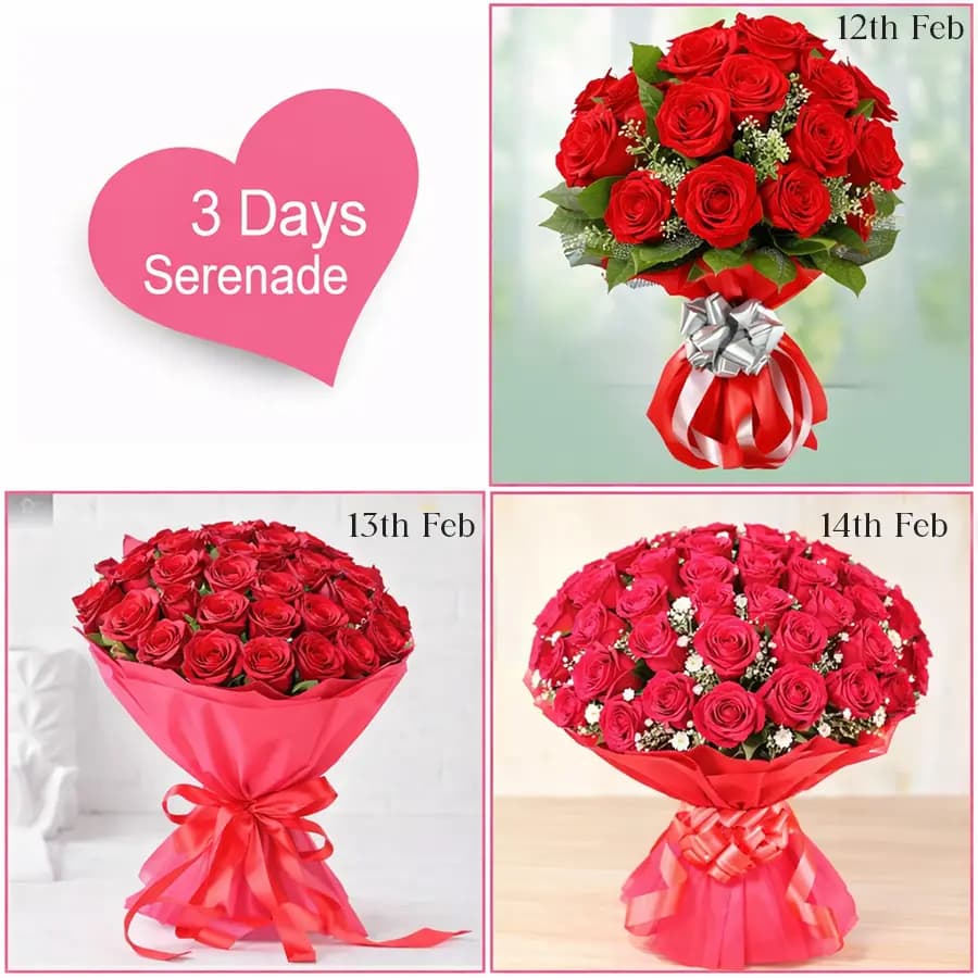 Mesmerizing 3 Days Serenade Gift Combo