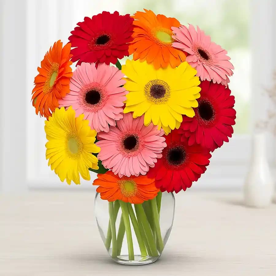Pretty Mixed Gerberas in a Glass Vase