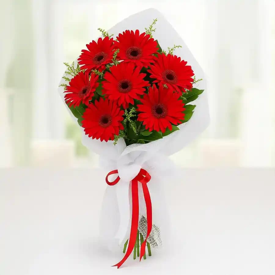 Bright Red Gerberas Bouquet
